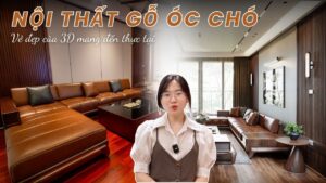 nha-pho-chat-go